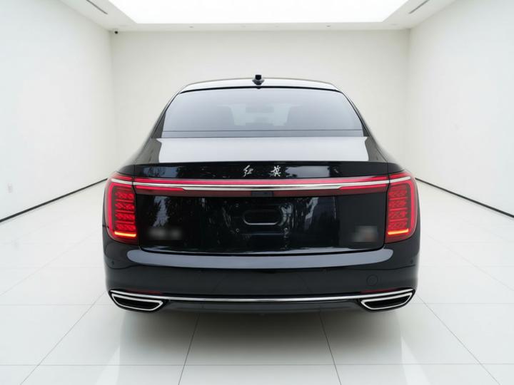 H9 2025 Facelift 2.0T RWD Luxury Business 5-Seater photo 3