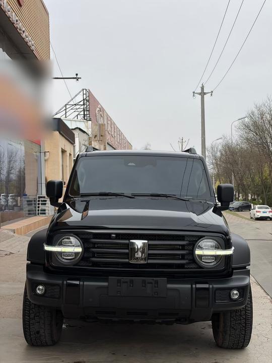 300 2023 Off-road 2.0T Conqueror photo 2