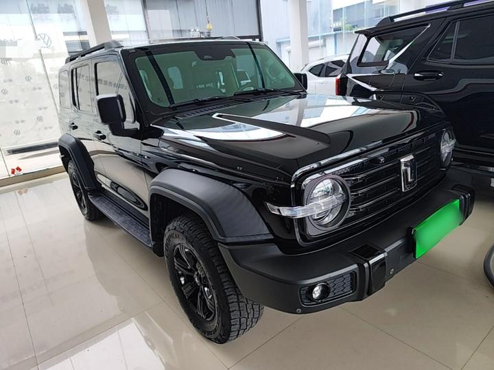 300 2021 Off-road 2.0T Conqueror photo 3
