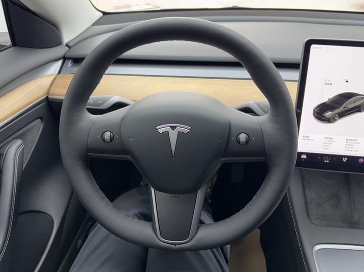 Model 3 2021 Facelift Standard Range RWD Upgraded 3D1 photo 2