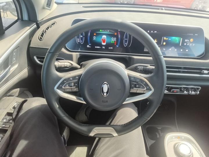 Good Cat 2021 400km Standard Range LFP photo 6