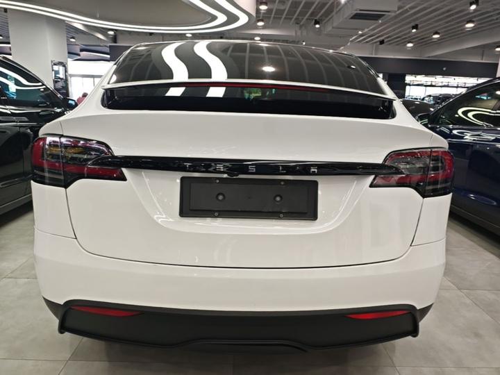 Model X 2023 AWD photo 3