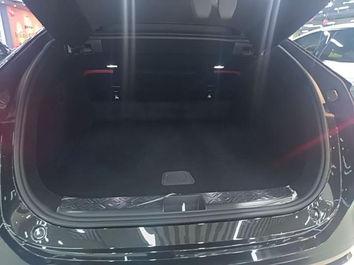 12 2026 Facelift Max EV photo 8