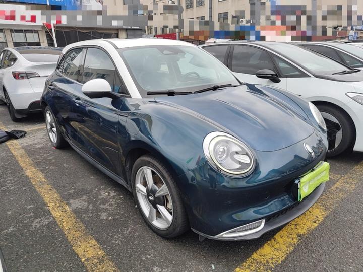 Good Cat 2021 400km Standard Range NCM photo 3