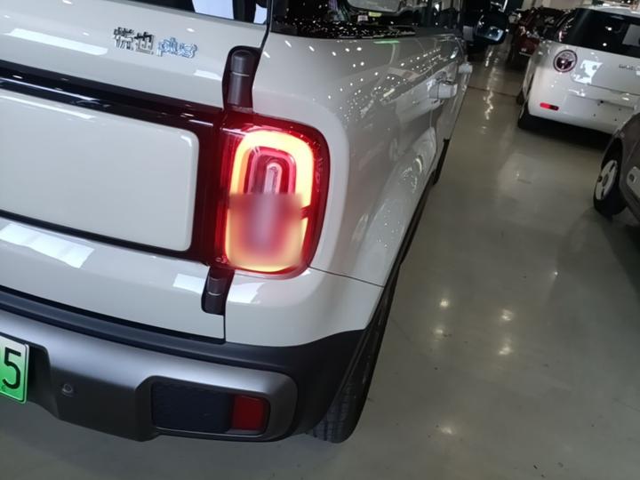 Plus 2026 301km Flagship photo 7
