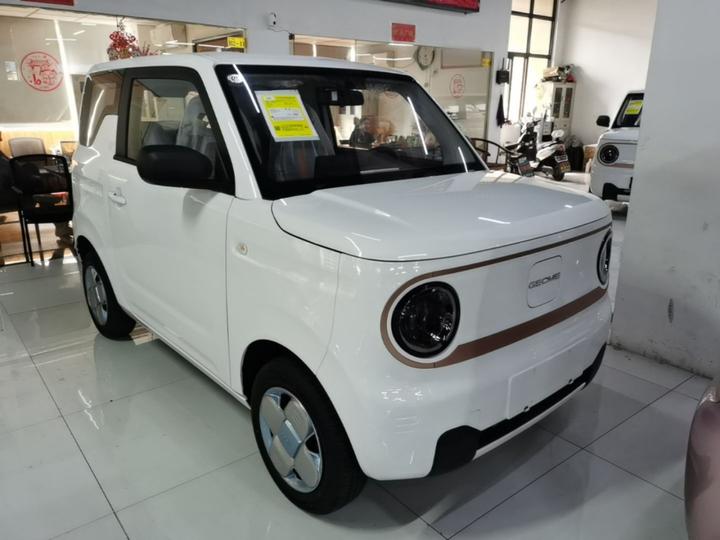 2024 Panda mini 200km Endurance Bear photo 3