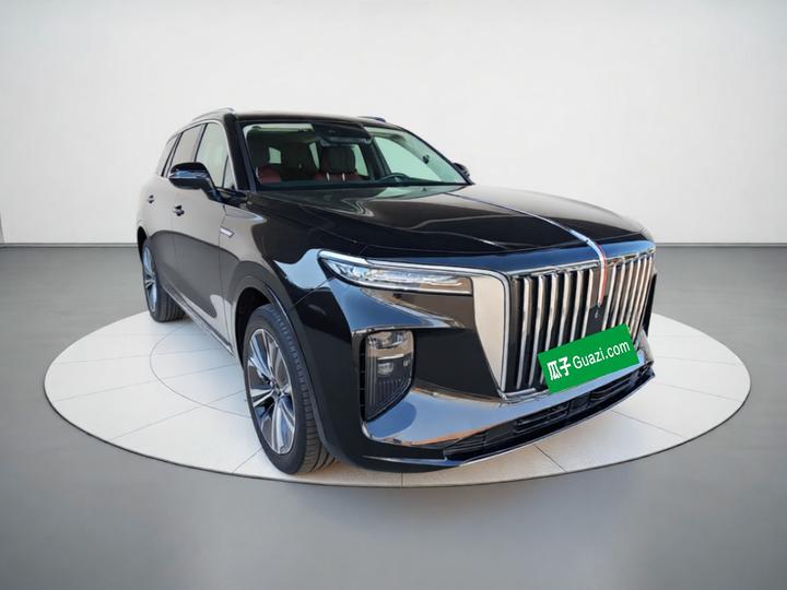 E-HS9 2021 460km 6-Seater photo 3