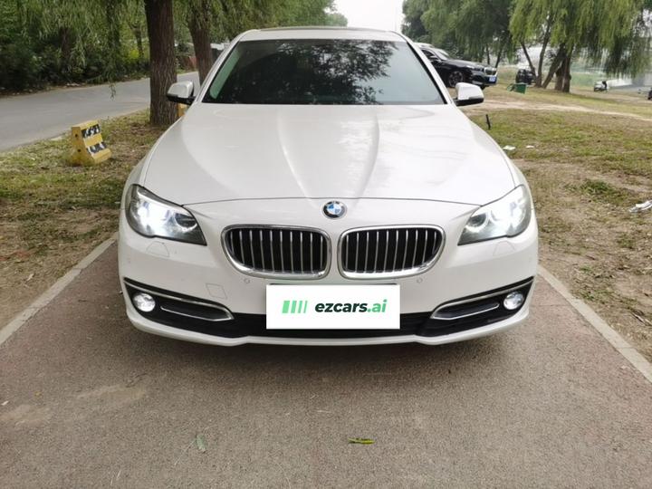 5 Series 2017 525Li Luxury Design Package photo 2