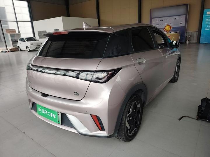 Dolphin 2021 405km Fashion photo 4