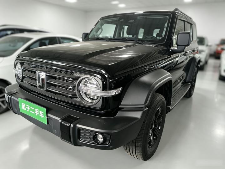 300 2025 2.0T Petrol Conqueror