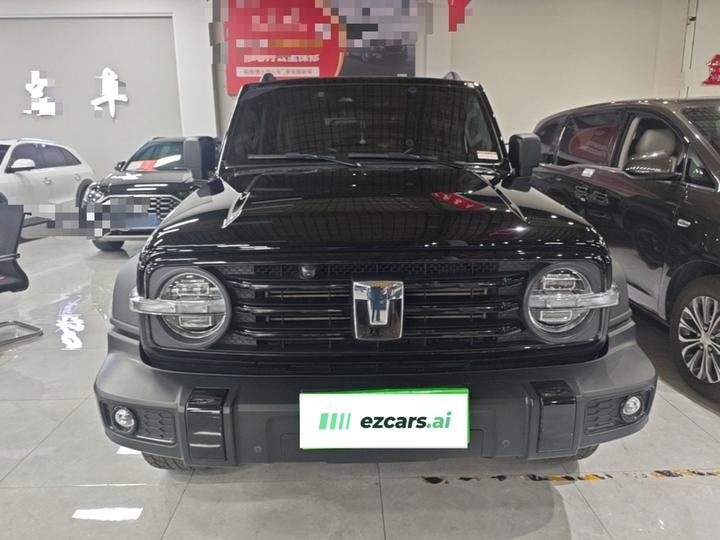 300 2023 Off-road 2.0T Conqueror photo 2