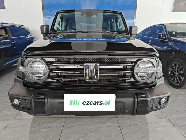 300 2023 Off-road 2.0T Conqueror photo 2