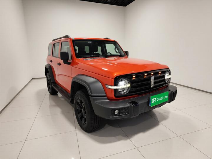 300 2021 Off-road 2.0T Conqueror photo 3