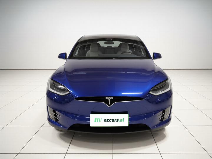 2017 Model X 100D Long Range photo 2