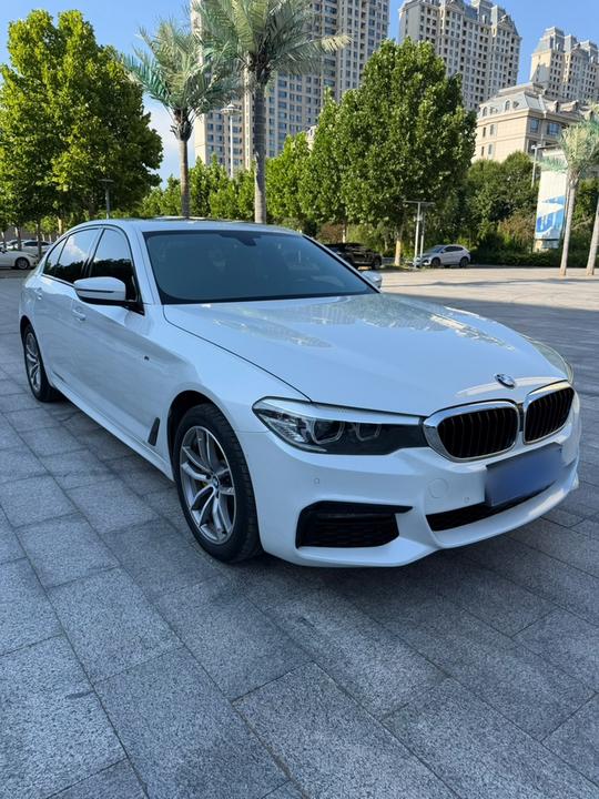 5 Series 2019 525Li M Sport Package photo 2