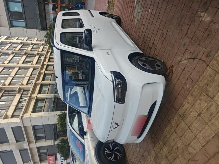 Wuling Zhiguang EV 2025 305km Progressive