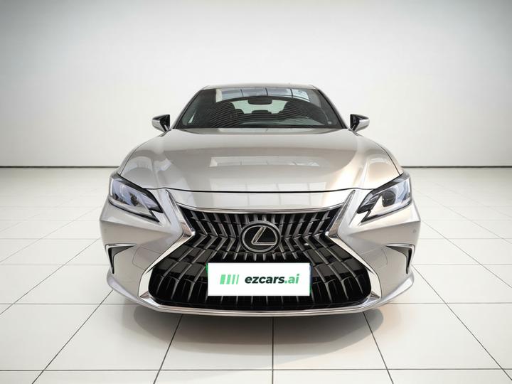ES 2022 300h Excellence photo 2
