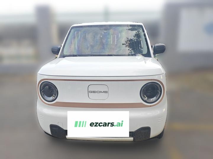 2024 Panda mini 200km Endurance Bear photo 2