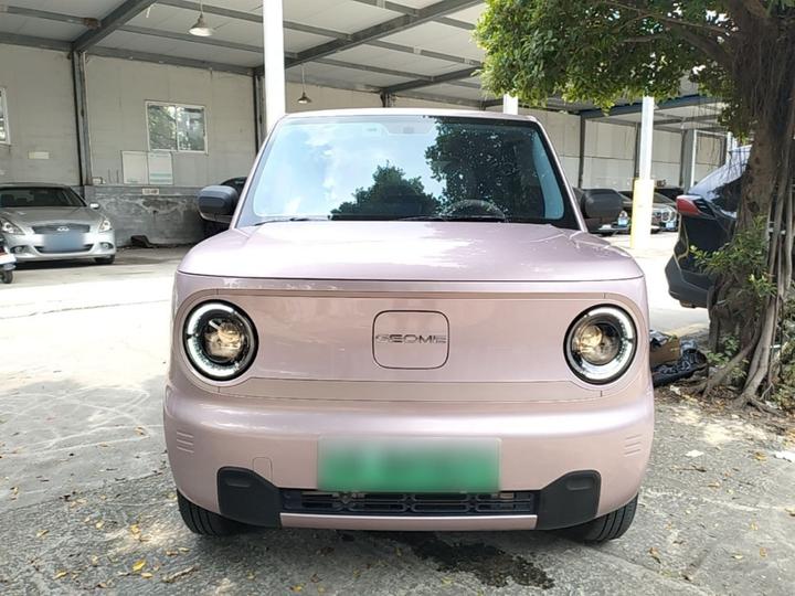 2023 Panda mini 200km Endurance Bear photo 2