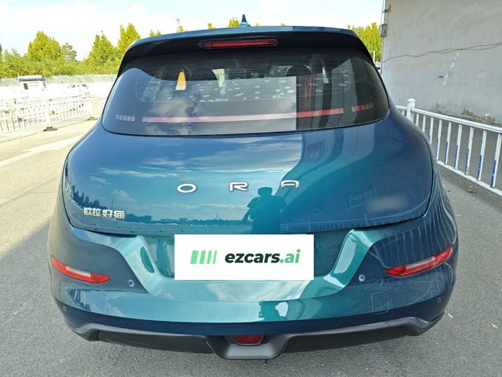 Good Cat 2021 400km Standard Range LFP photo 5