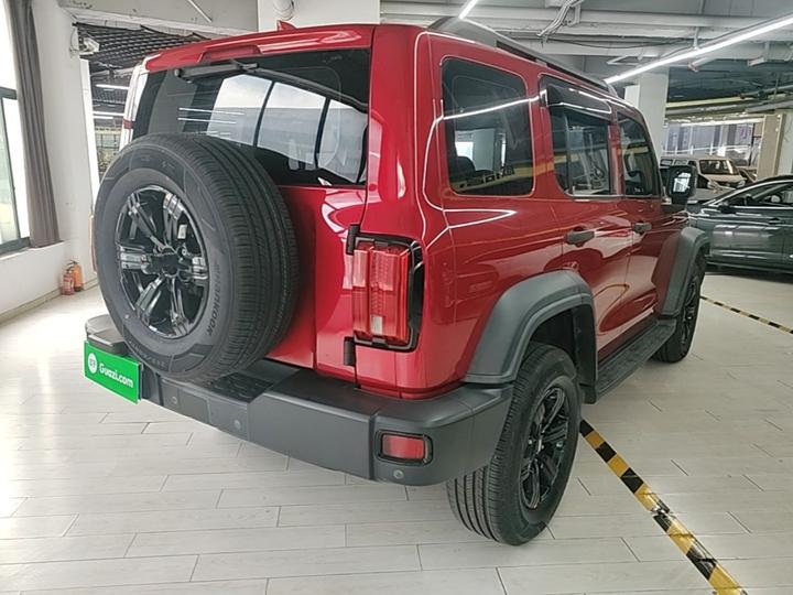 300 2021 Off-road 2.0T Conqueror photo 6