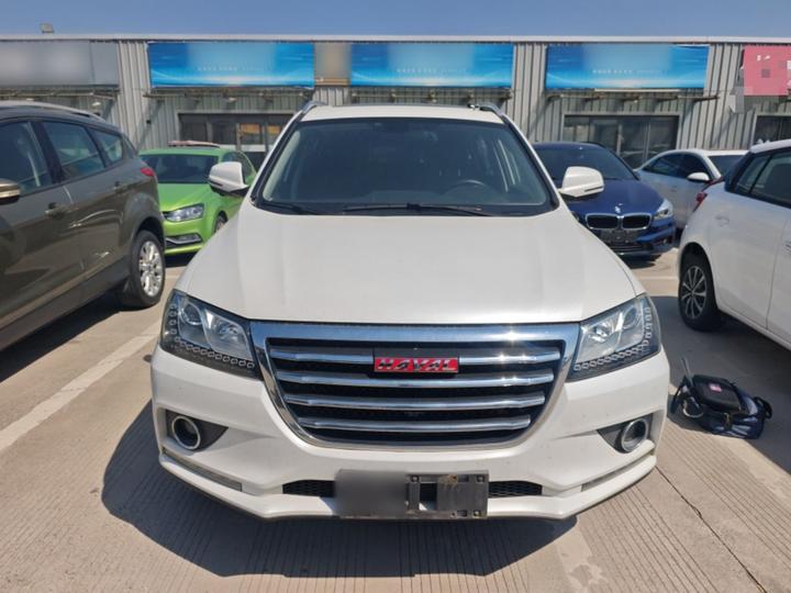 H2 2017 Red Label 1.5T AT RWD Luxury photo 2