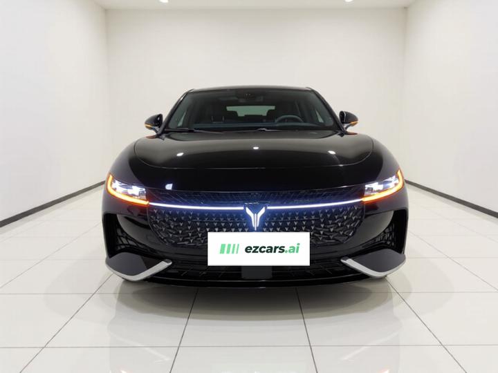 Voyah Passion 2024 PHEV AWD Extended Range Flagship photo 2