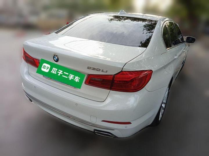 5 Series 2020 530Li Leading Luxury photo 3