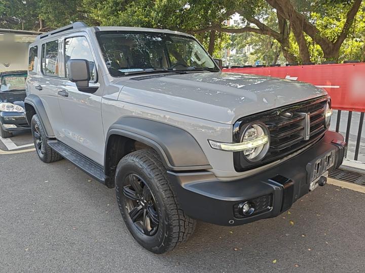 300 2021 Off-road 2.0T photo 3