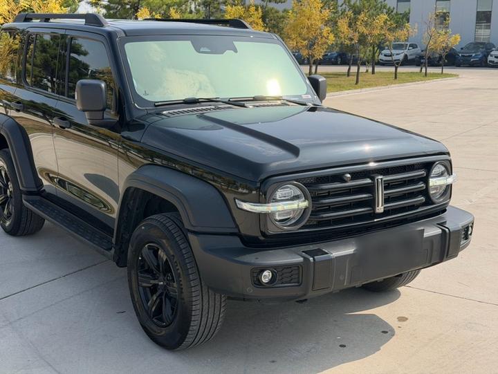 300 2021 Off-road 2.0T photo 3
