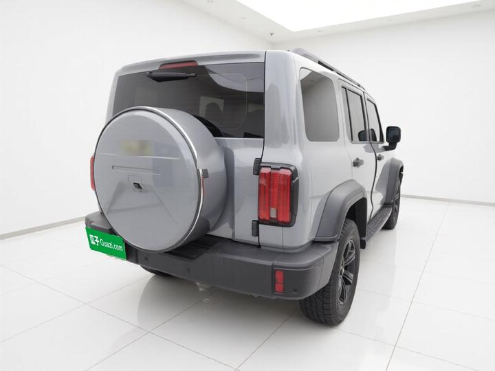 300 2024 2.0T Conqueror photo 4