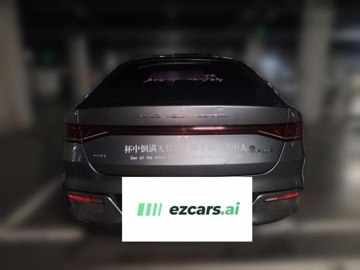 Qin PLUS 2021 DM-i 55KM Flagship photo 5
