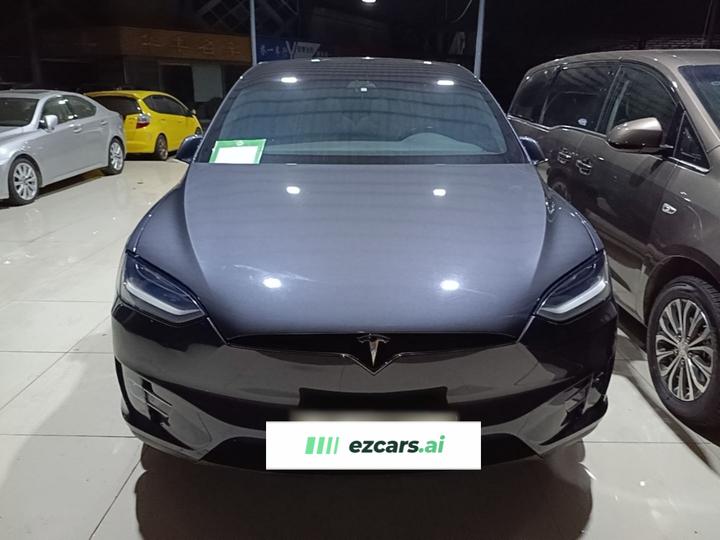 Model X 2020 Performance Performance photo 2