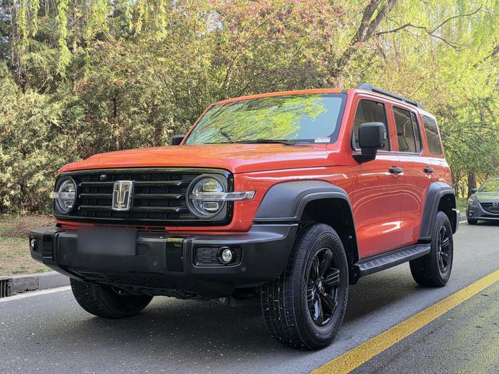 300 2023 Off-road 2.0T Conqueror