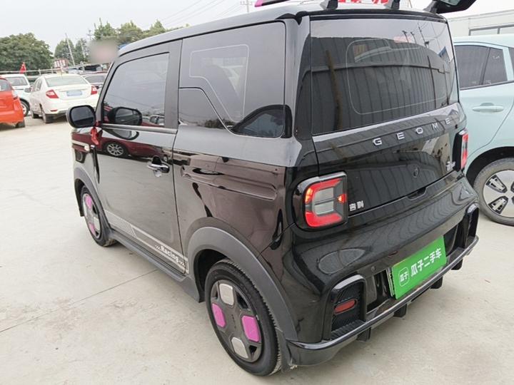 2025 210km Panda photo 4