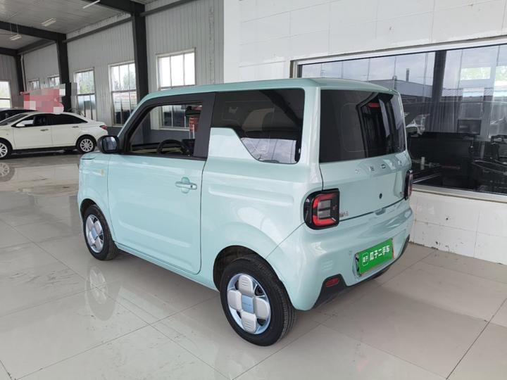 2023 Panda mini 200km Endurance Bear photo 4