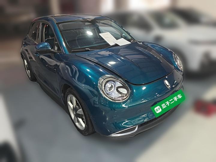 Good Cat 2021 400km Standard Range LFP photo 3
