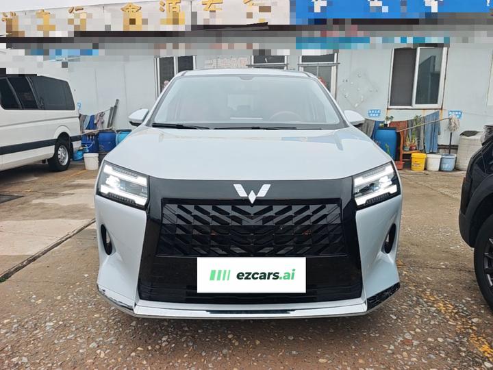 730 EV 2025 125km Luxury photo 2