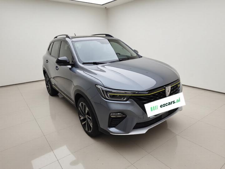 RX5 EV 2020 ePLUS Luxury photo 3
