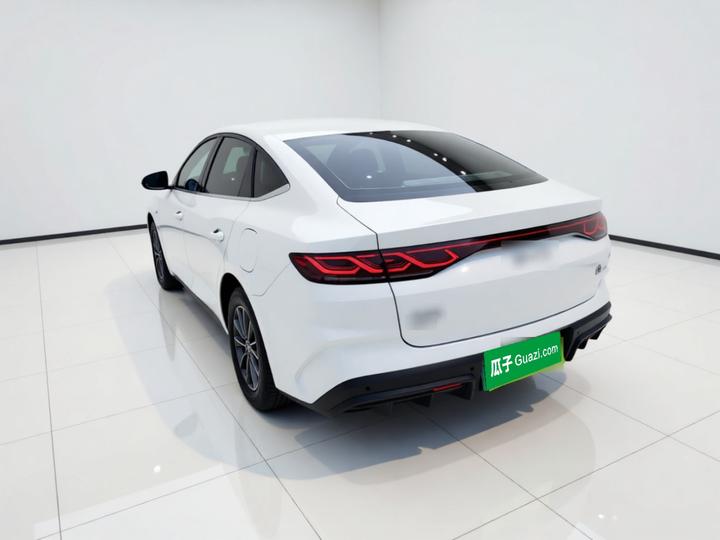 Qin L 2024 DM-i 80KM Leading photo 4
