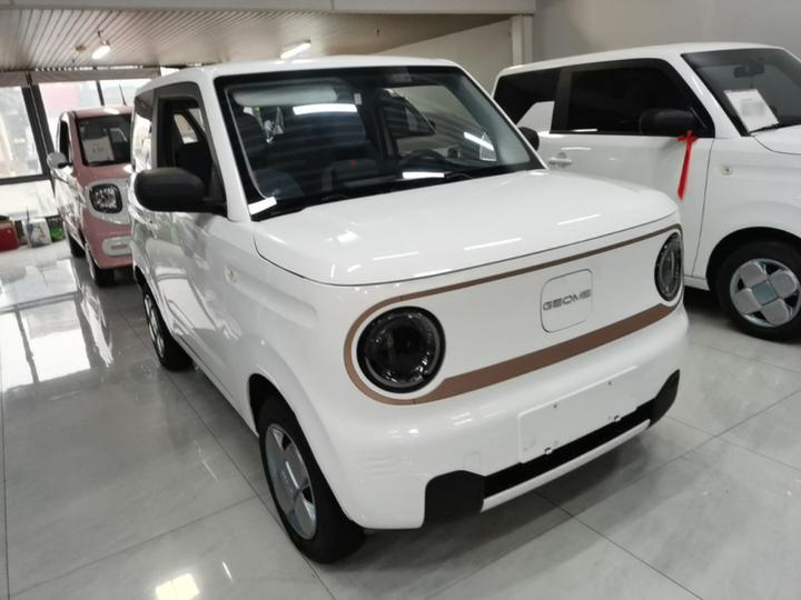 2024 Panda mini 200km Endurance Bear photo 3