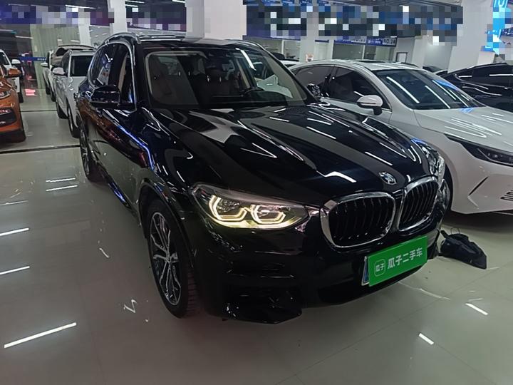 X3 2020 xDrive30i Leading M Sport Package photo 3