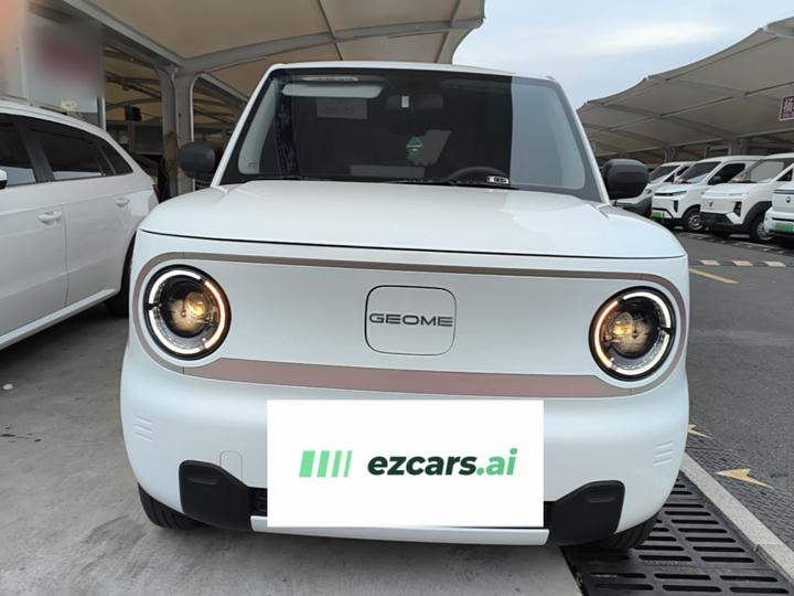 2024 Panda mini 200km Endurance Bear photo 2