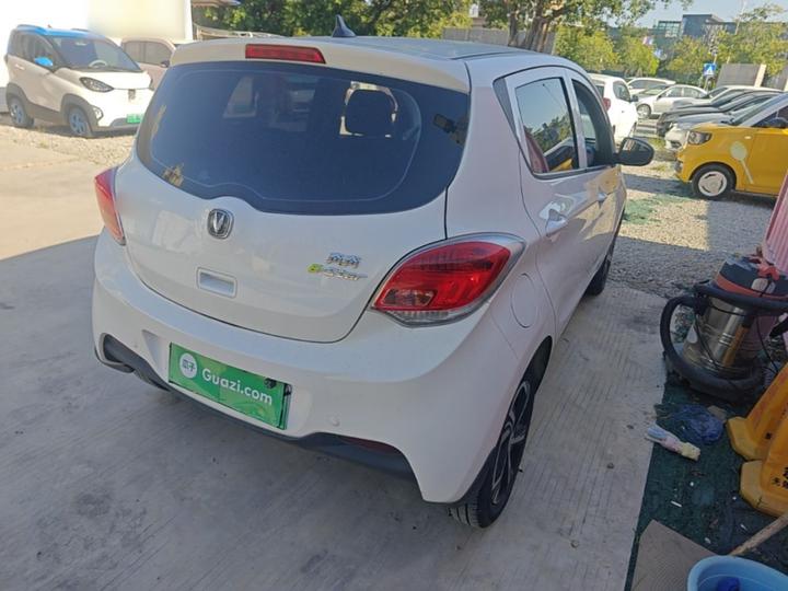 Benni E-Star 2021 NCM photo 6