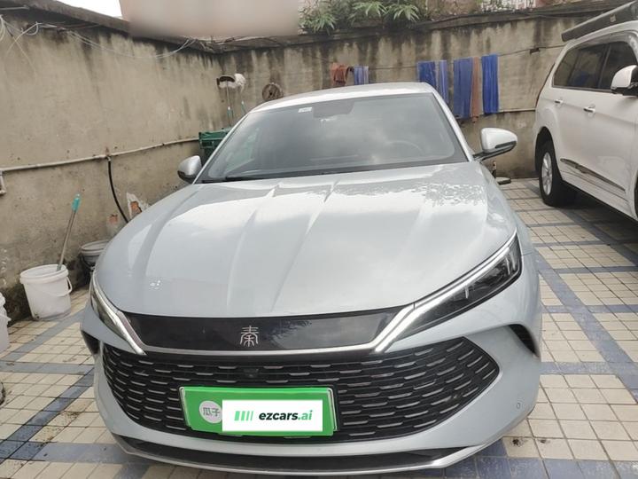 Qin L 2024 DM-i 80KM photo 2