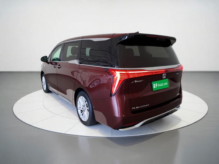 2025 2.0T 7-Seater photo 4