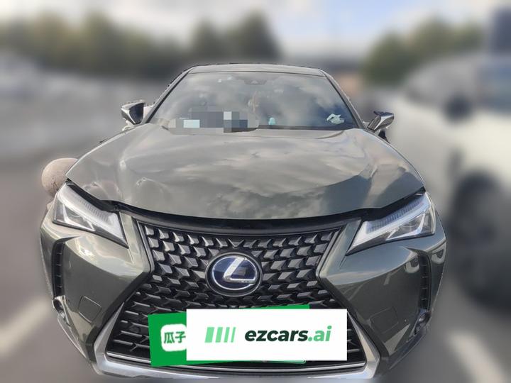 UX EV 2020 300e photo 2