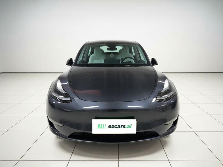 Model Y 2024 Long Range AWD photo 2