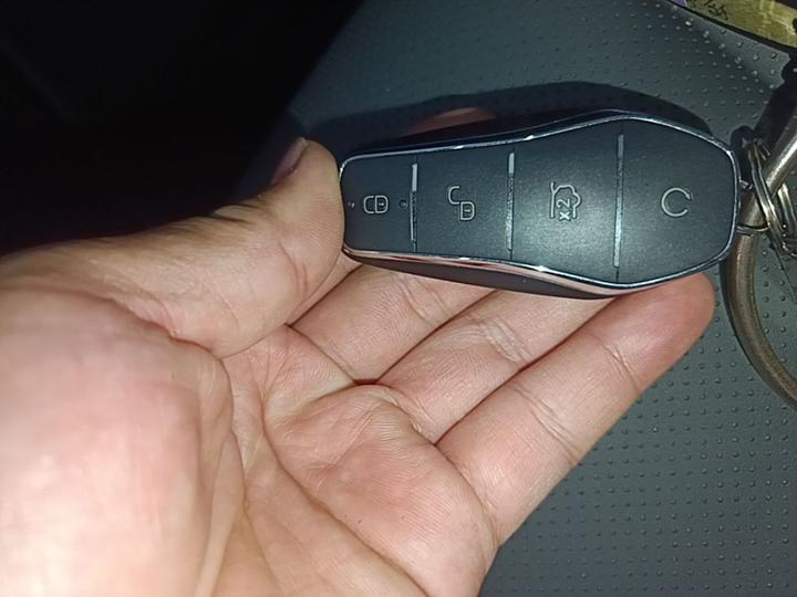 Qin L 2025 EV 545KM photo 8