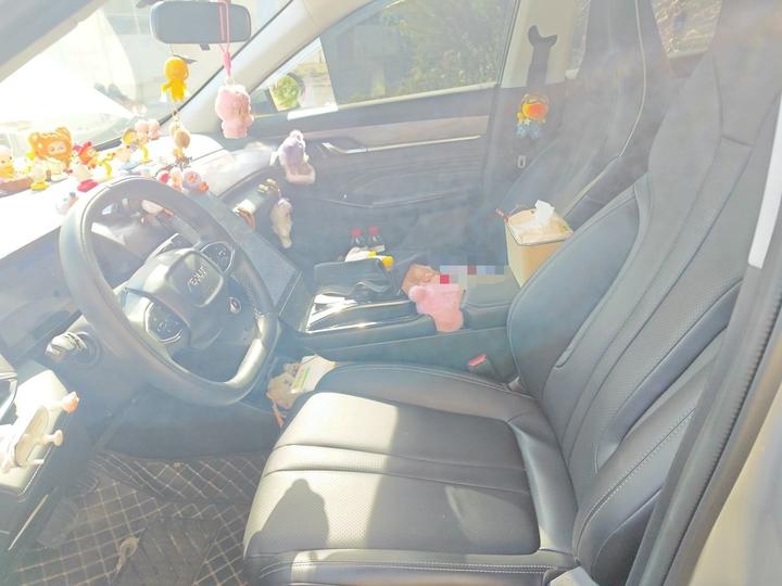 2023 DH-i 1.5T Luxury photo 7